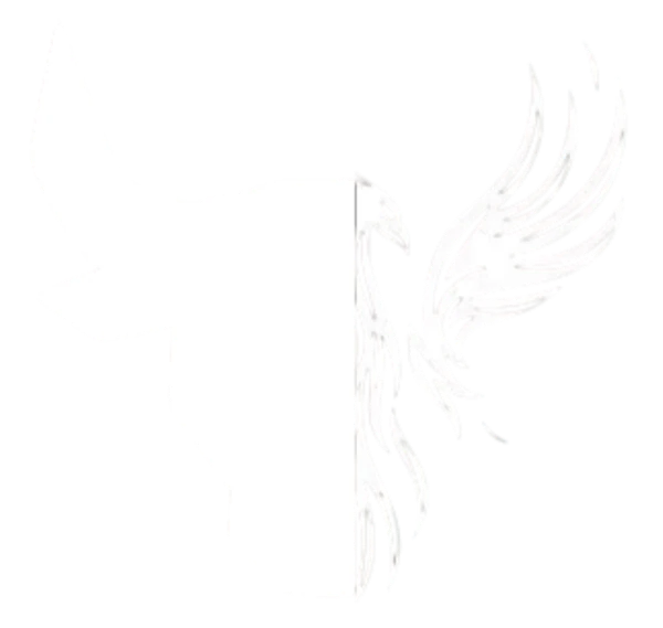 Crypto Capital Masterclass Logo